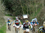 gal/2010/03 - La Via delle Miniere 2010/Sul poggetto al primo passaggio/_thb_Immagine-030.jpg